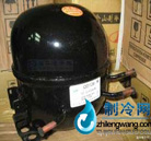萬(wàn)勝冰箱壓縮?? border=